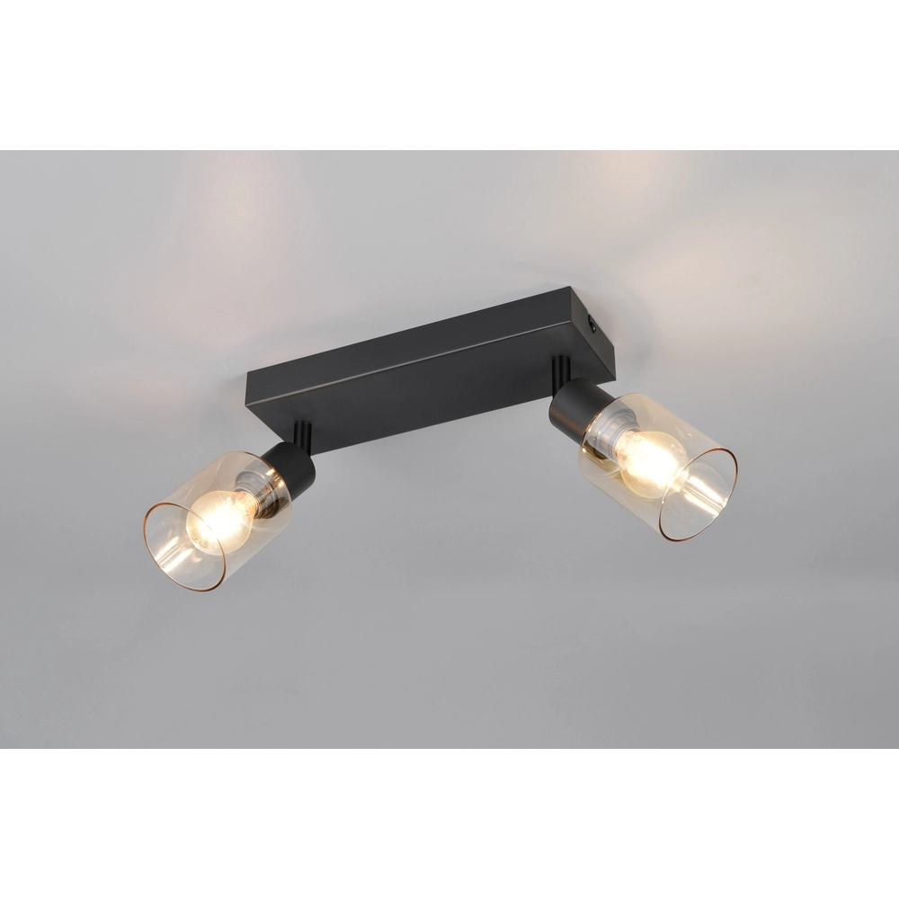 Plafonnier Cadiz noir 2 lumières Trio 4017807653434