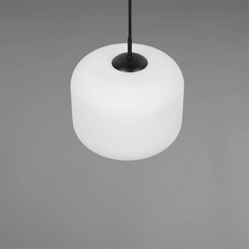 Lampe suspendue Signe blanc Ø 25cm Trio 4017807686739