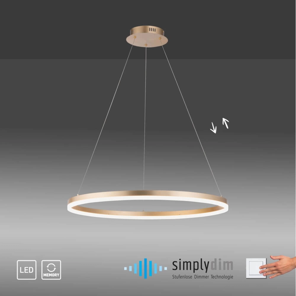 Lampe suspendue moderne Titus Ø 80cm laiton antique Paul Neuhaus 4012248362877