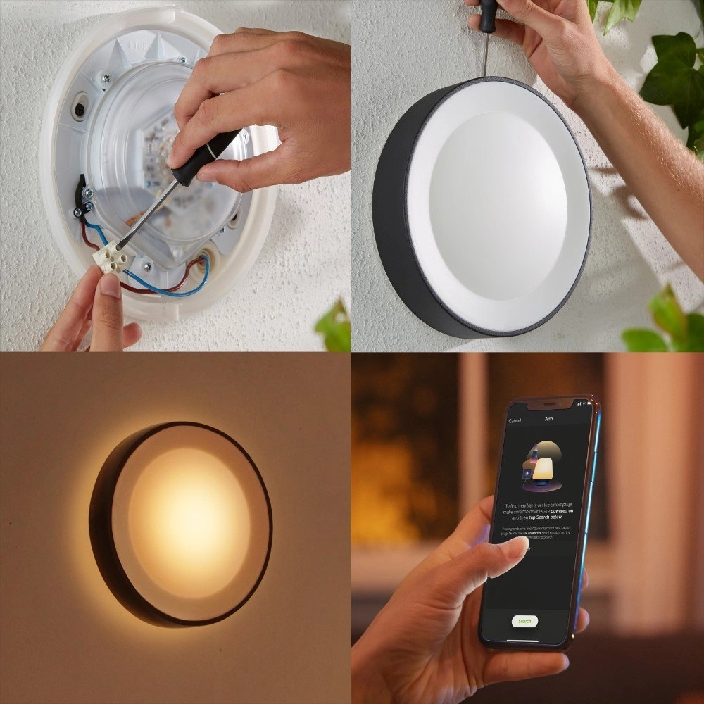 Lampe d'extérieur ronde Hue Daylo noir Philips 8718696174401