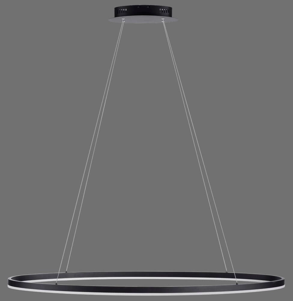 Lampe à suspension anthracite Titus Ø 118 cm Paul Neuhaus 4012248375228