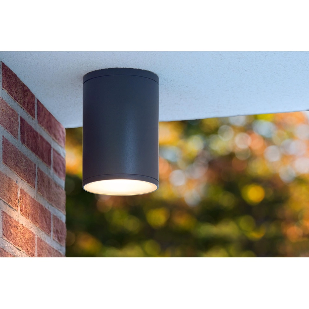 Projecteur de plafond Tubix IP54 noir
