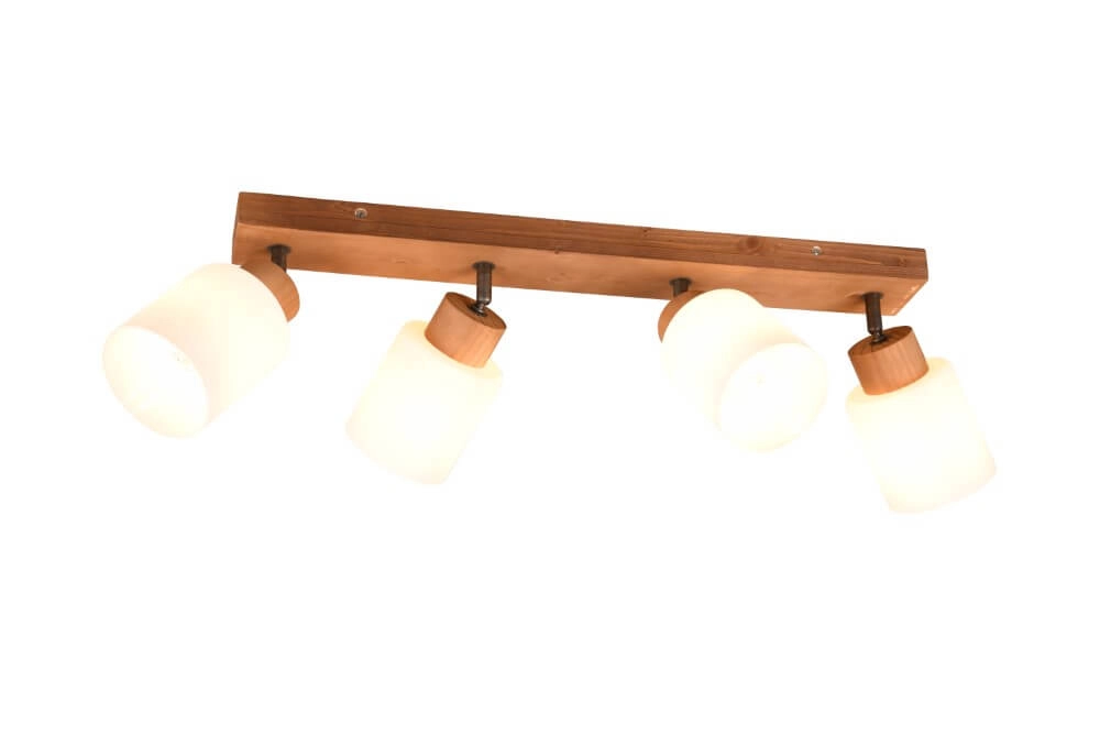 Spot de plafond rural Assam 4 lumières Trio 4017807539851
