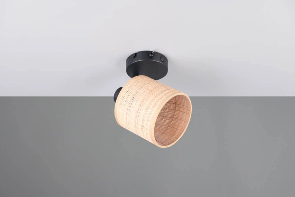 Applique murale noire Aimee avec bouchon de crème Trio 4017807637335