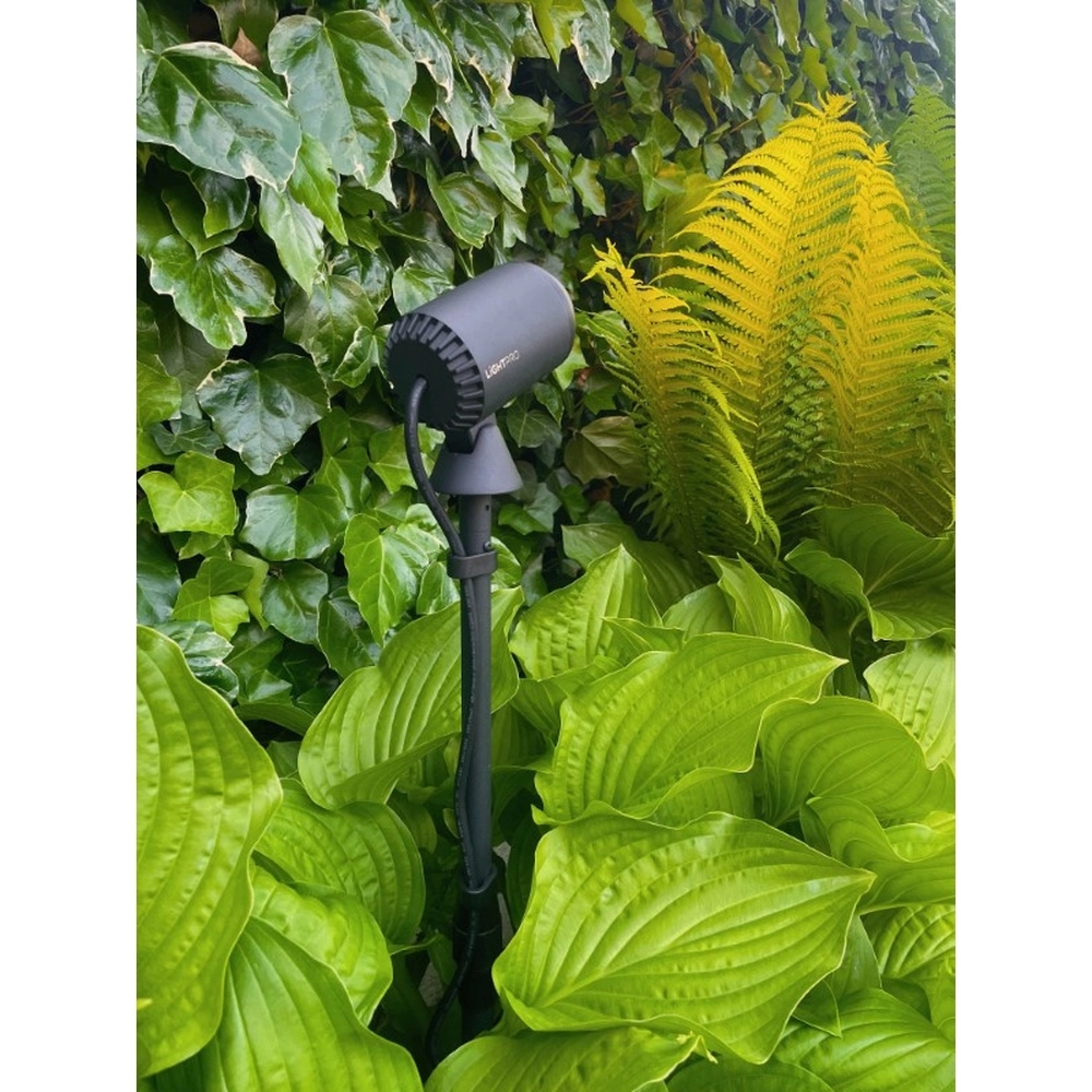 Noir Multispike 40 à 60cm Lightpro 8719979284459