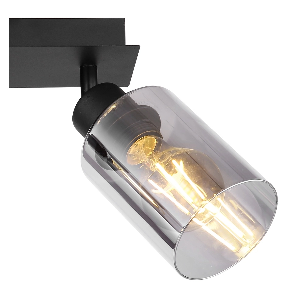 Lampe de plafond Hadera Noir à deux lumières avec verre fumé Globo 9007371440214