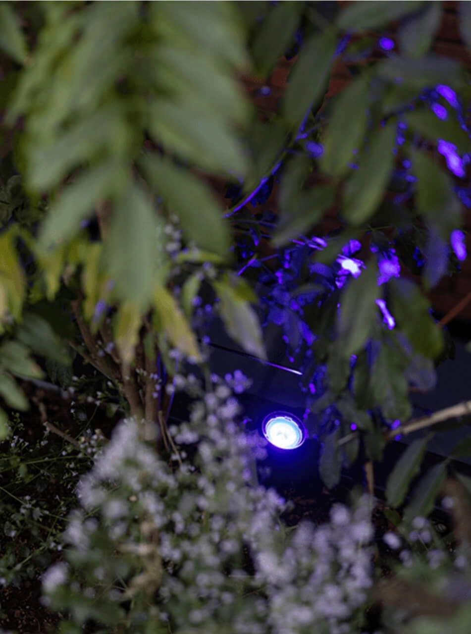 Point de piqûre Smart Scope Tone 12V In-lite 8717051005589