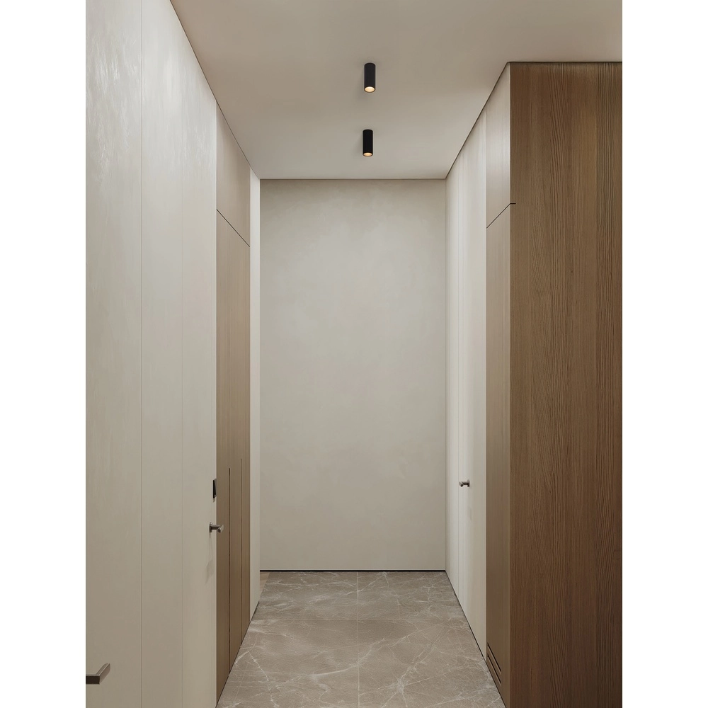 Spot de plafond Comet noir Lyora 5212017475756