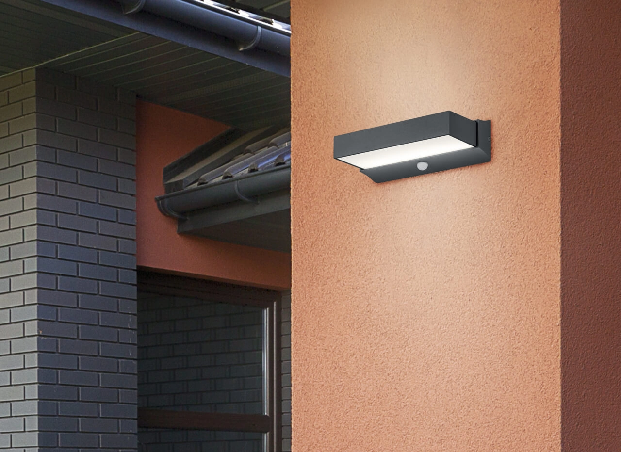 LED lampe d'extérieur Cuando avec capteur de mouvement Trio 4017807388817