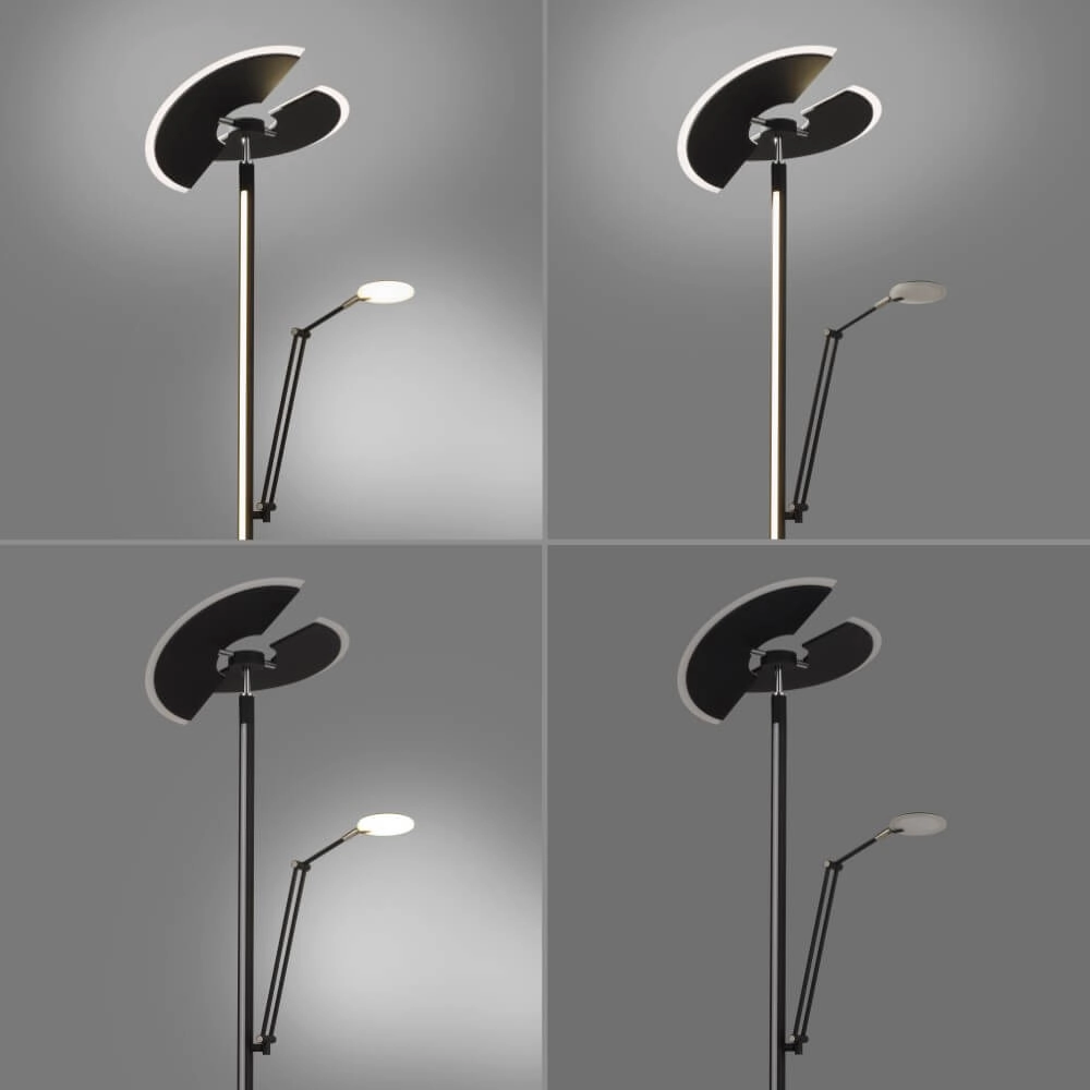 Lampadaire Pure Mutil anthracite Paul Neuhaus 4012248364345