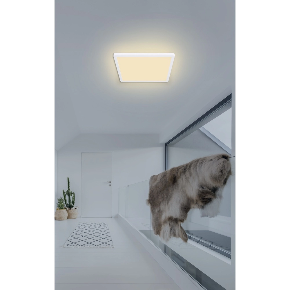 Éclairage de plafond Sapana carré 29,4 cm blanc Globo 9007371402403