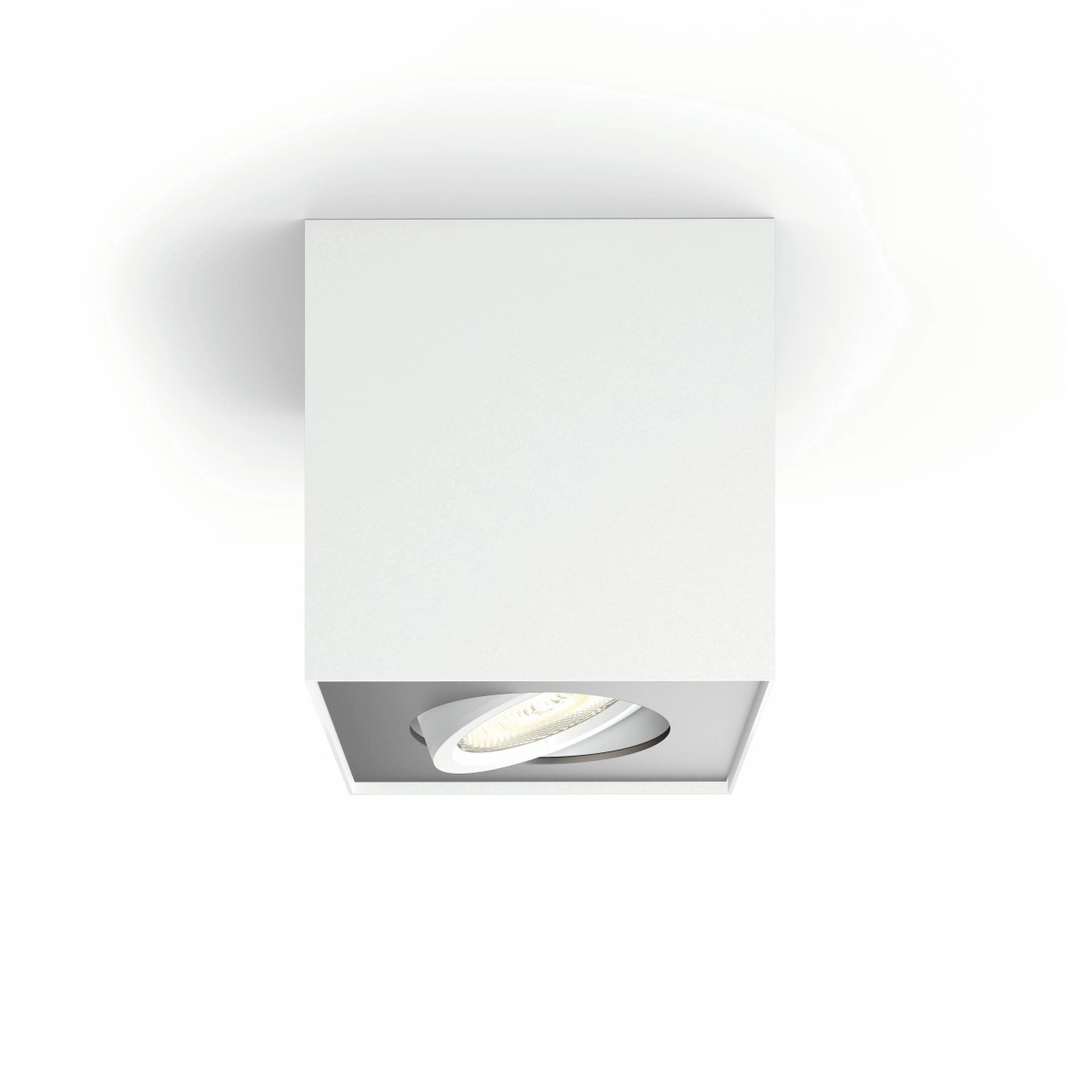 spot Box blanc