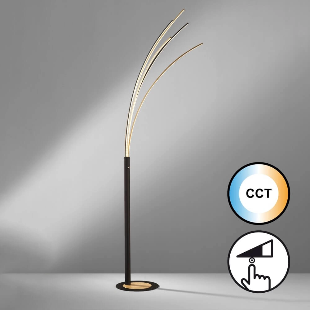Lampe à arc design Ellmau noir Fischer & Honsel 4003694404686