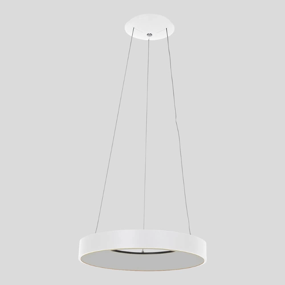 Lampe suspendue à LED Ringlede Ø 48 cm Steinhauer 8712746132854