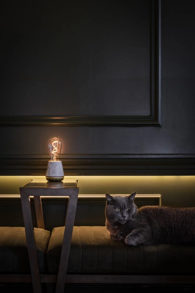 Lampe de table rechargeable One White Marble Humble 7446023294270