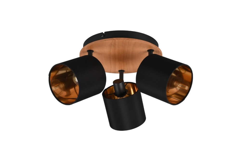 Spot de plafond rural Tommy 3 lumières Trio 4017807542585