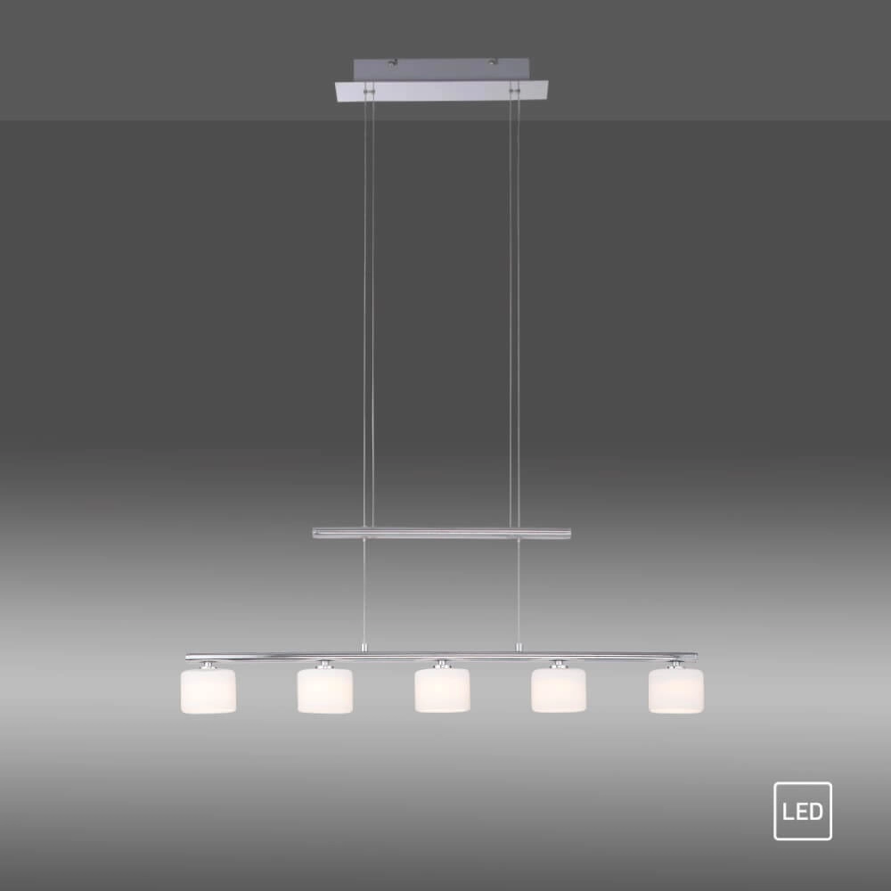 Lampe suspendue 5 lumières Hydra métal Paul Neuhaus 4012248364963