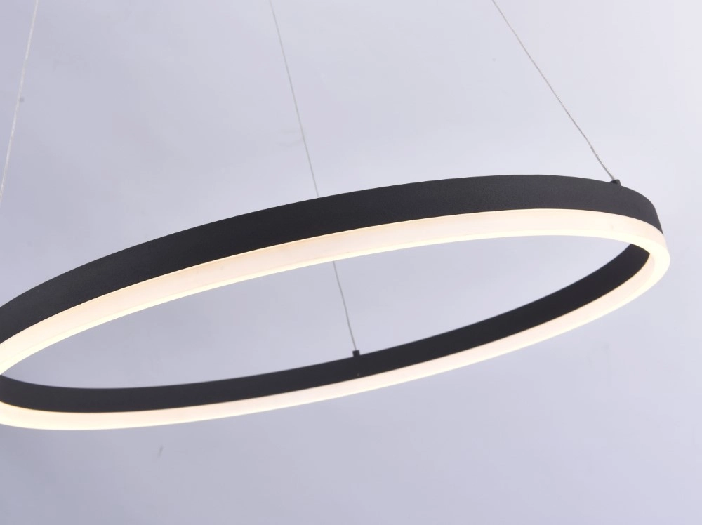 Lampe suspendue à LED Titus Ø 60 cm Paul Neuhaus 4012248305157