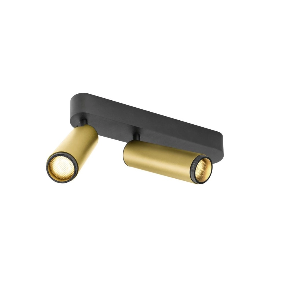 Spot monté en surface Grip! M Or 2 lumières 3000K
