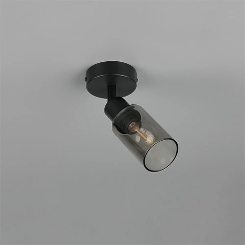 Lampe murale de conception Mars Noir Trio 4017807670455
