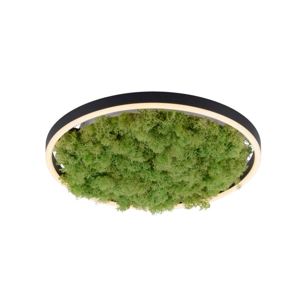 Plafonnier Green Ritus avec mousse Ø 39,3cm Just Light 4043689994792