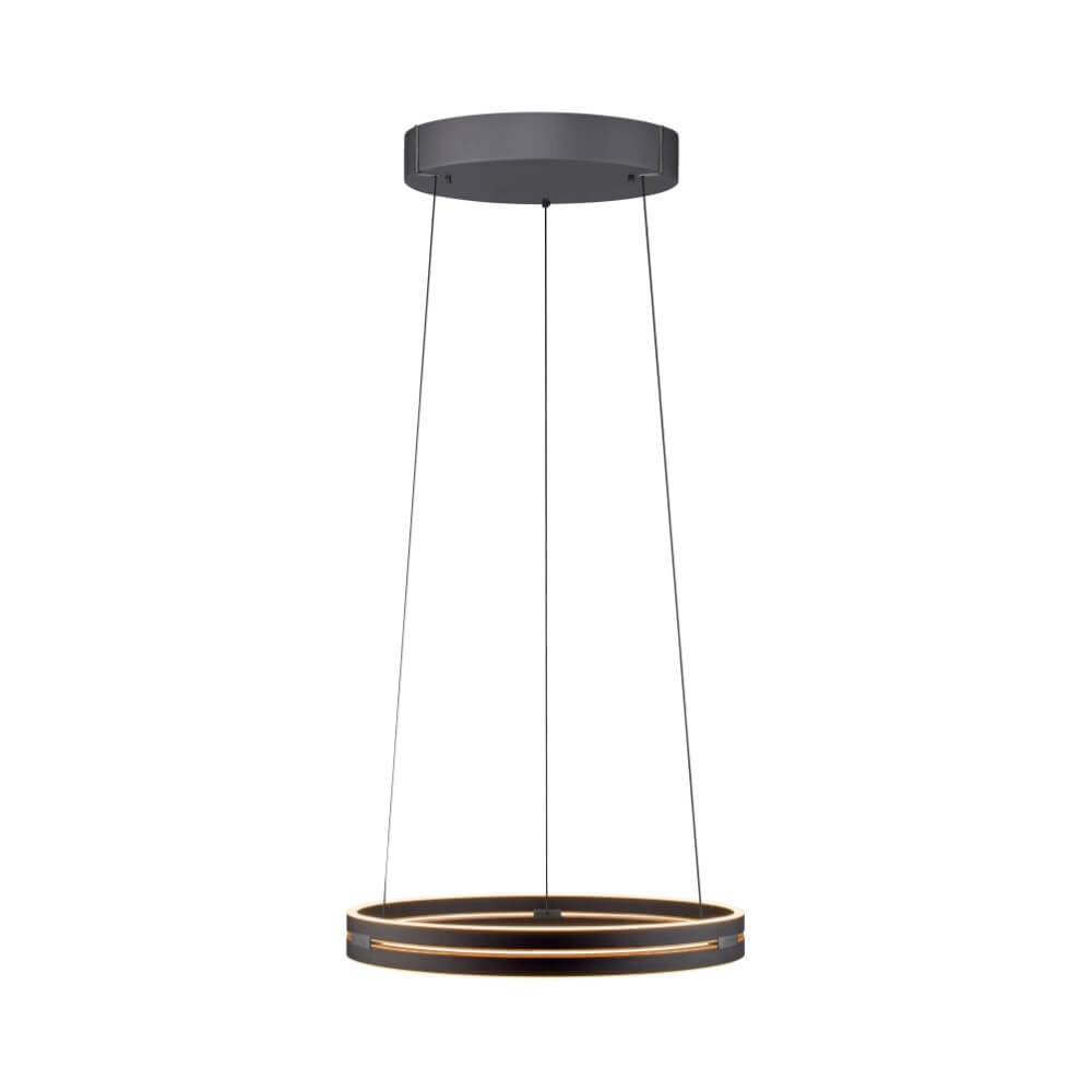 Lampe suspendue élégante Pure E-Loop black Lampe suspendue élégante Pure E-Loop black