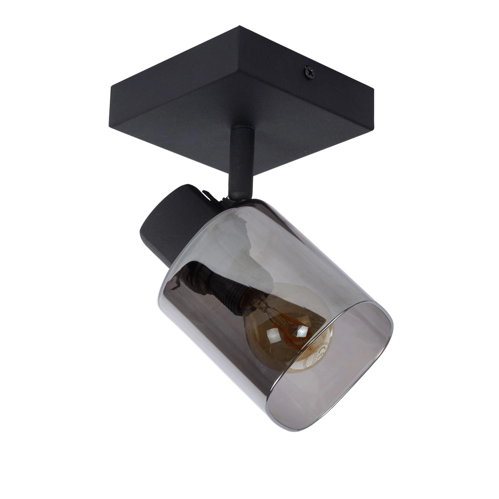 Lampe de plafond Alion Noir simple avec verre fumé