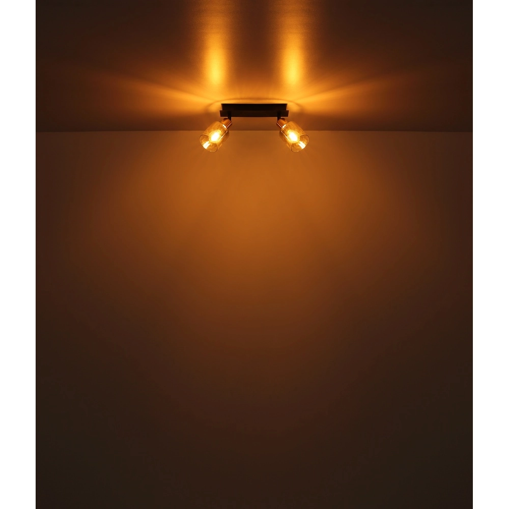Lampe de plafond à deux lumières Hollsy noir avec verre fumé Globo 9007371445851