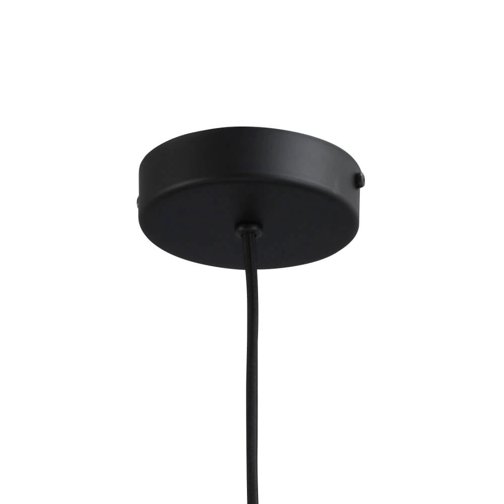 Lampe suspendue noire Porto avec verre clair Nicolette - Ø 20cm Masterlight 8718121269368