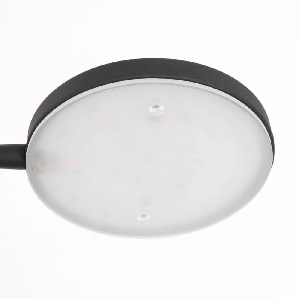Lampe de lecture LED flexible Platu noir Steinhauer 8712746151510