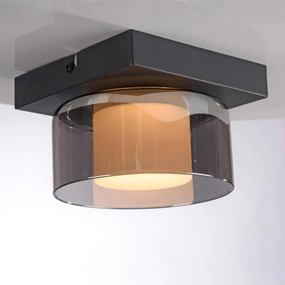 Plafonnier noir Rika 1 lumière noir Paul Neuhaus 4012248385012