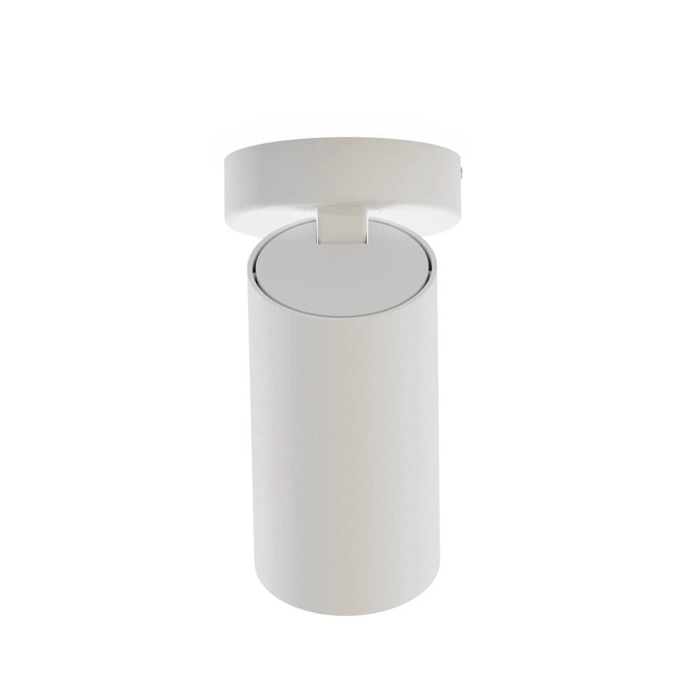 Spot en saillie inclinable Mono blanc avec de l'or Lyora 5903139777193