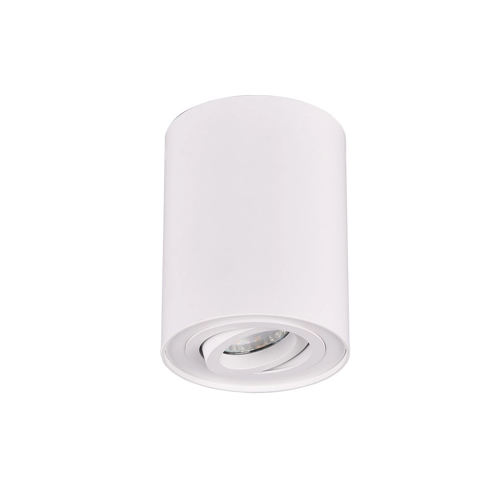 Spot de plafond Cookie