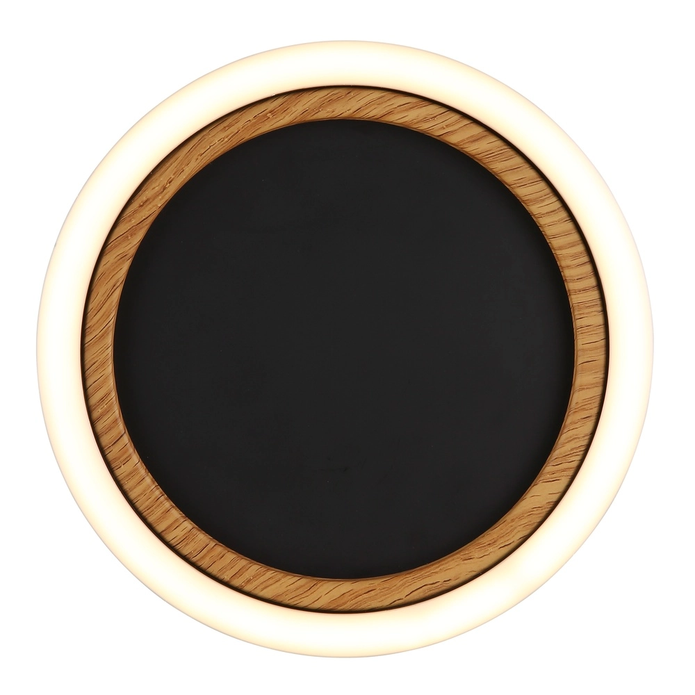 Lampe de plafond Dakari I Anneau unique noir Globo 9007371531783