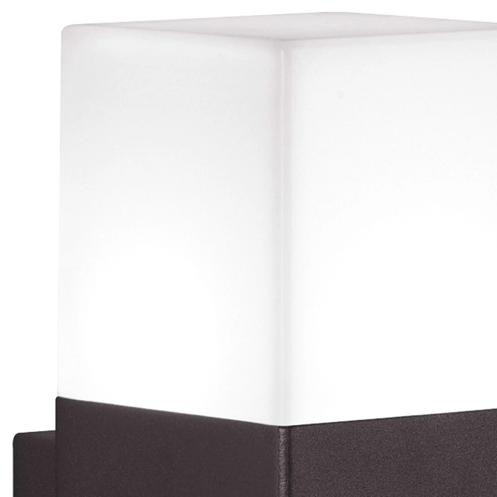 LED lampe d'extérieur Hudson LED noir Trio 4017807241501