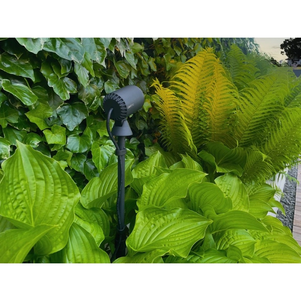 Noir Multispike 40 à 60cm Lightpro 8719979284459