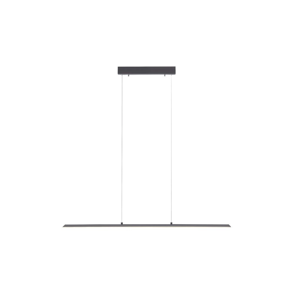 Lampe suspendue design Pure Lite 100 cm anthracite Paul Neuhaus 4012248344873