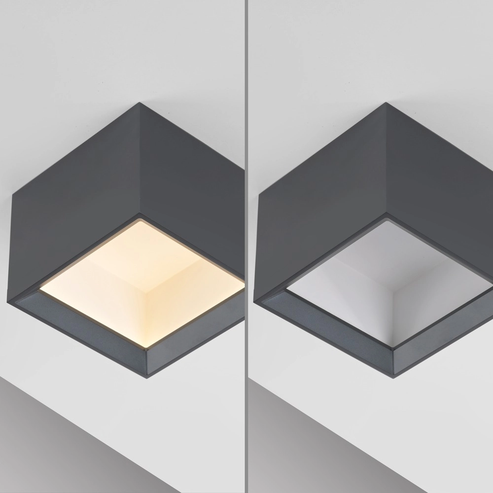 Spot à LED monté en surface Pure Manhattan Gris mystique Paul Neuhaus 4012248396827