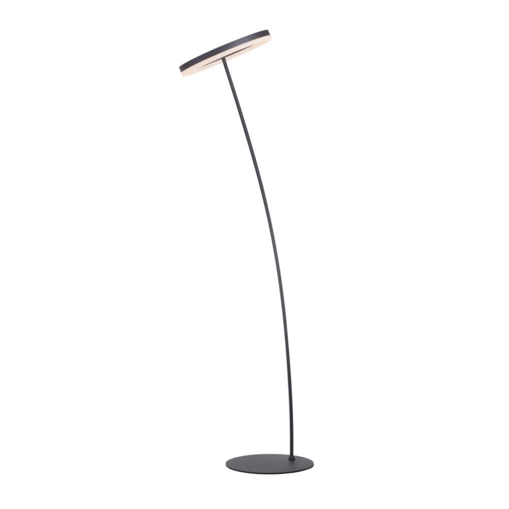 Lampadaire anthracite Titus moderne Paul Neuhaus 4012248357637