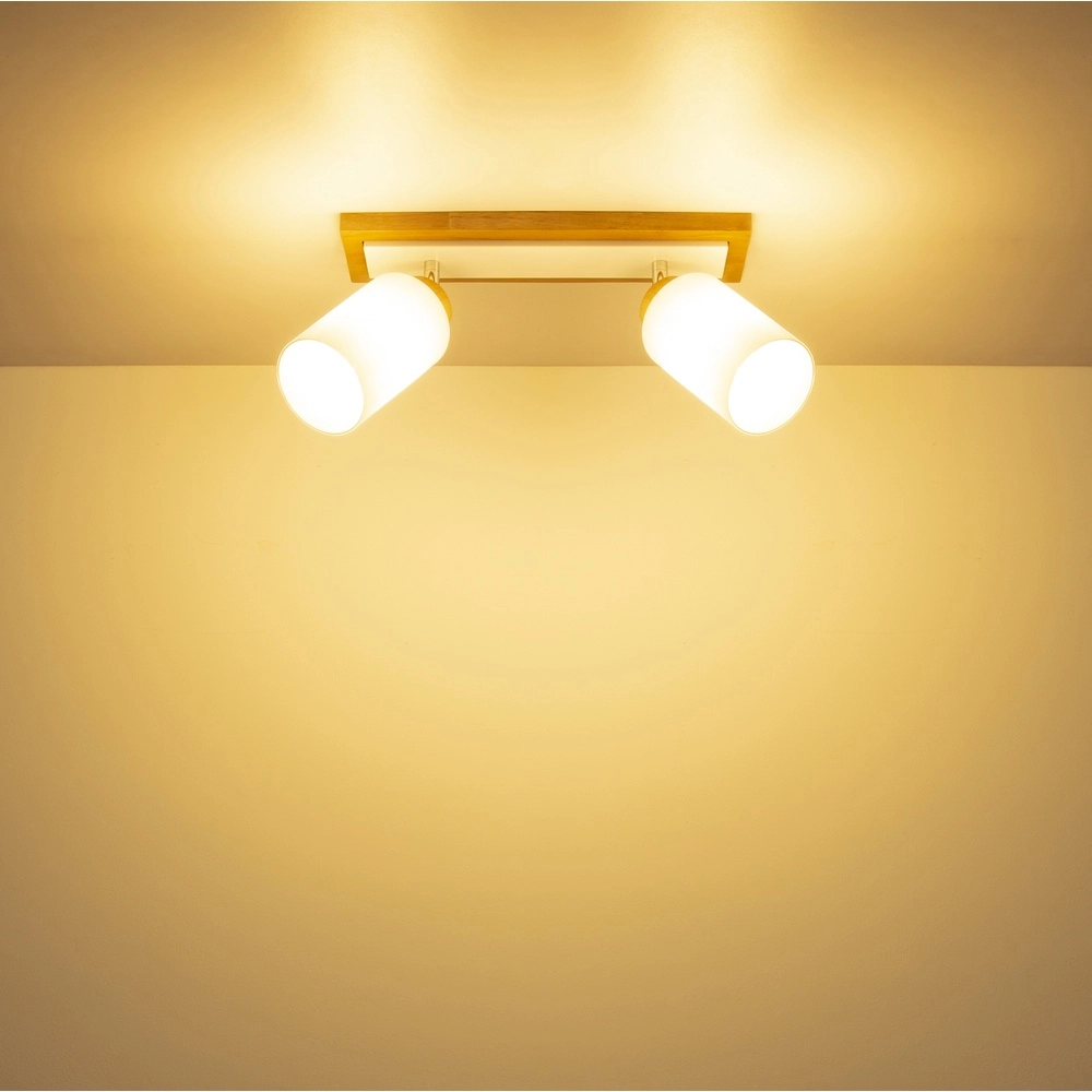 Lampe de plafond Rowena Bois à 2 lumières Globo 9007371592357