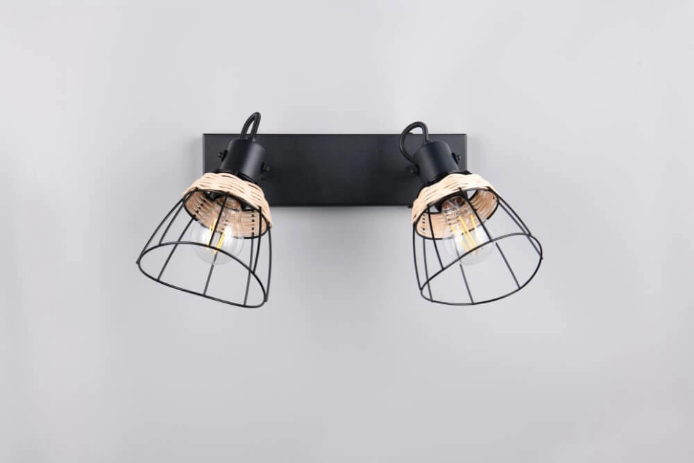 Plafonnier noir Jerome Design 2-lumière Trio 4017807637700