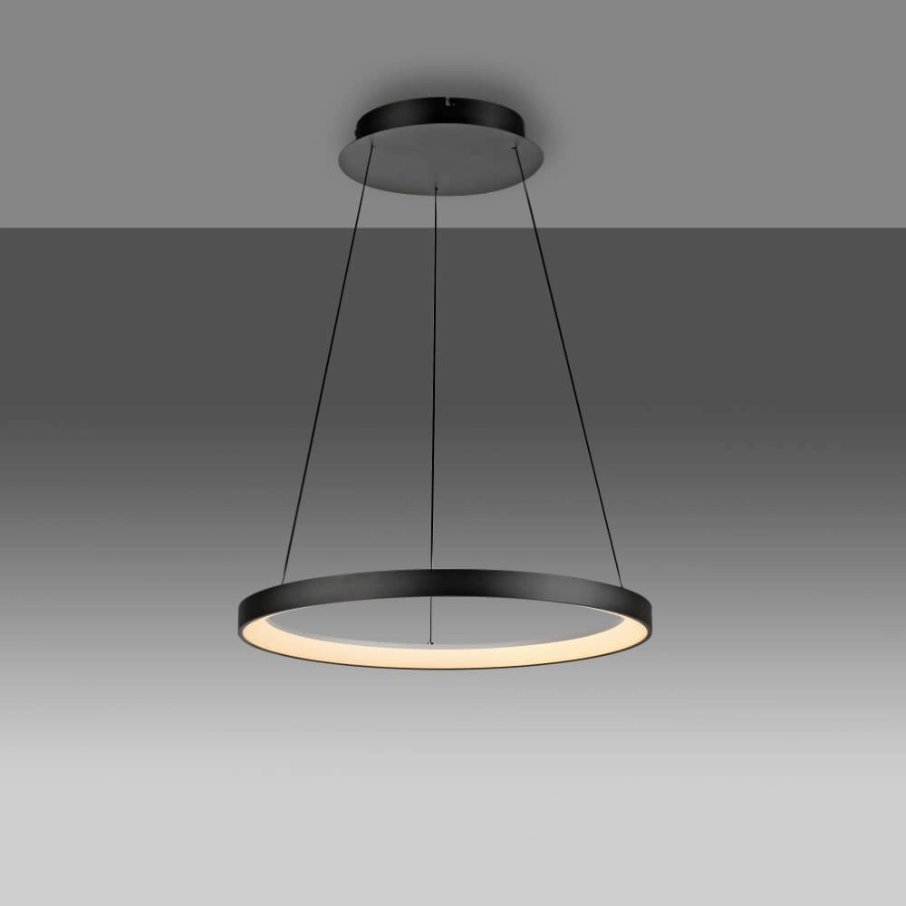 Lampe suspendue ronde Hoop noir Paul Neuhaus 4012248384695