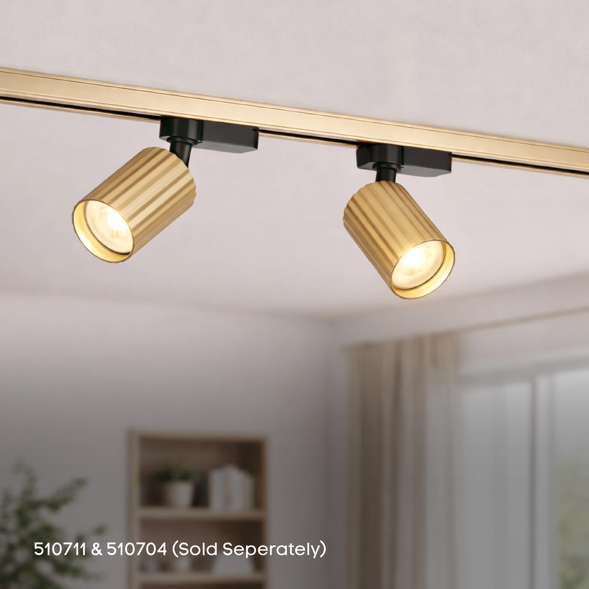 Rail de 1 mètre TraQ Or Lyora 5053423317090