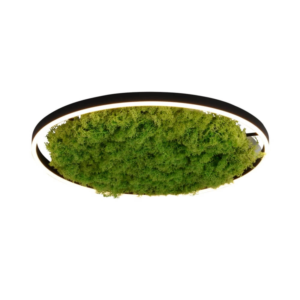 Plafonnier Green Ritus avec mousse Ø 58,5cm Plafonnier Green Ritus avec mousse Ø 58,5cm