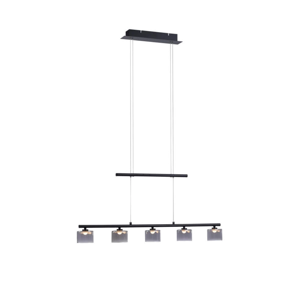 Lampe suspendue 5 lumières Hydra noir