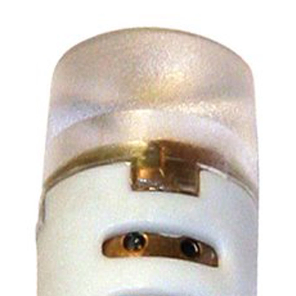 Source de lumière T10-T15 - 12V - 1.5W - LED GardenLights 5907800856262