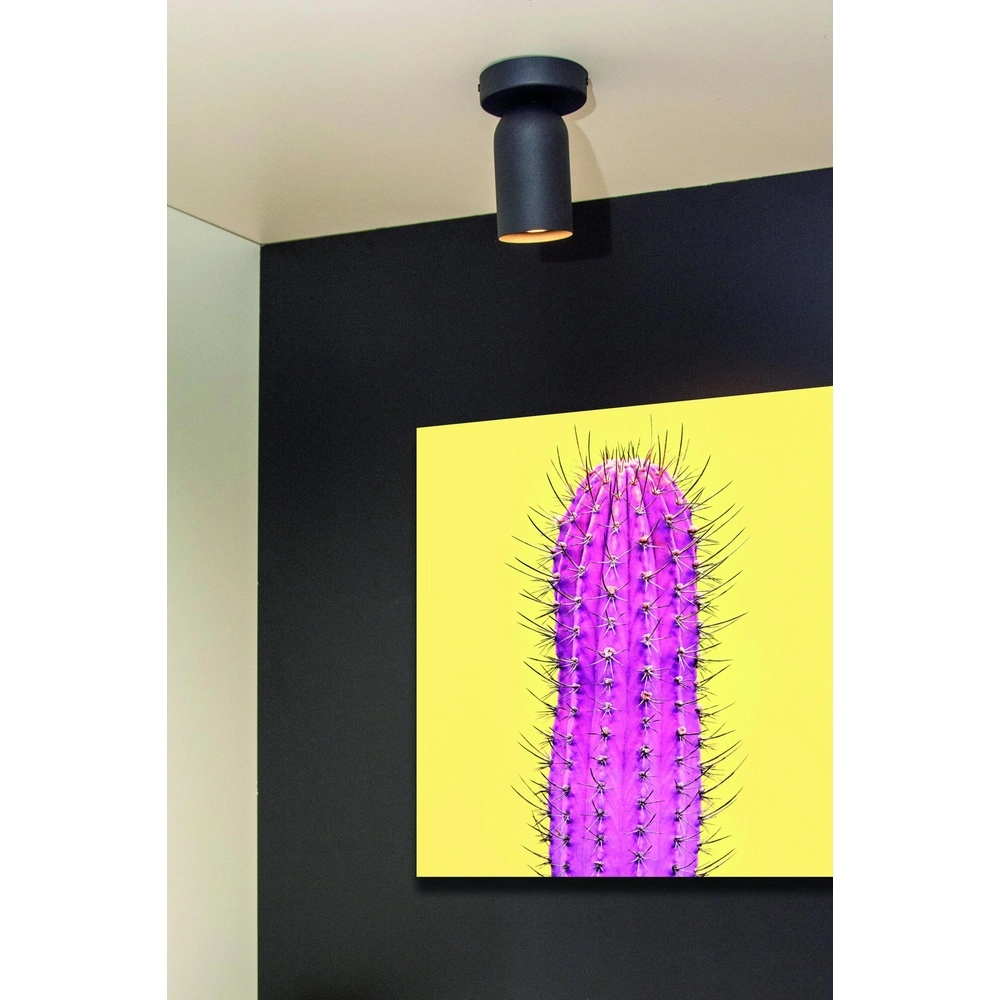 Projecteur de plafond Punch Noir simple Lucide 5411212134318