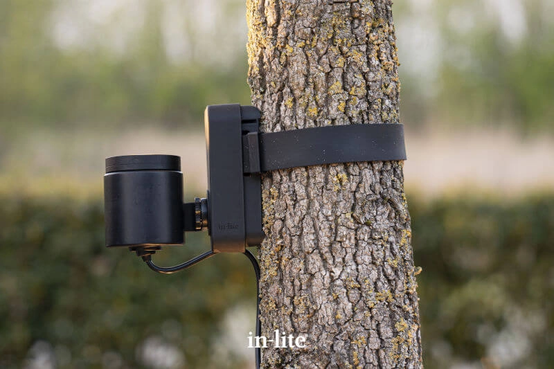 Brace Band Pour le corset In-lite 8717051005251