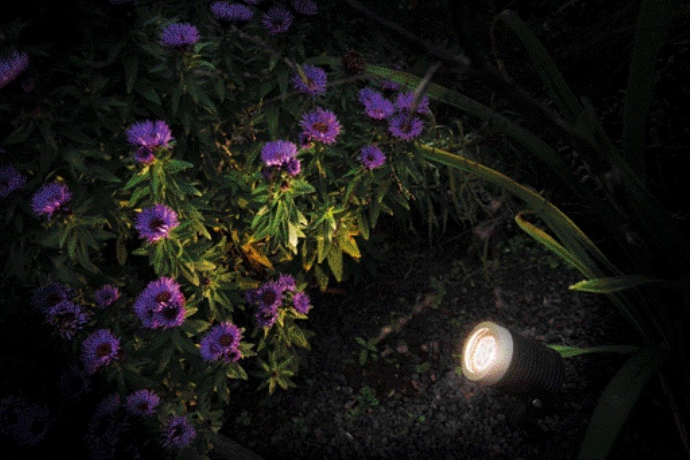Spot de jardin LED Arcus 12V dirigé GardenLights 5907800856613