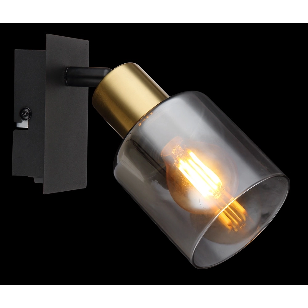 Lampe murale Hollsy noir avec verre fumé Globo 9007371457847